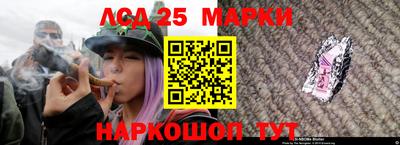 spice Кандалакша